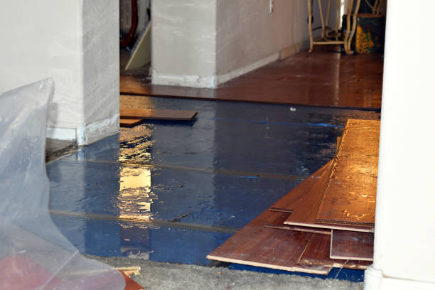 Professional Basement Flood Cleanup technician working in White Salmon, WA
